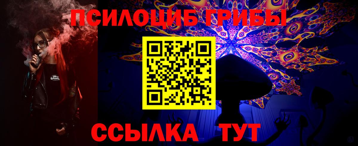 продажа наркотиков  Галлюциногенные грибы Cubensis  Вход с VPN  Фрязино  Галлюциногенные грибы ЛСД 